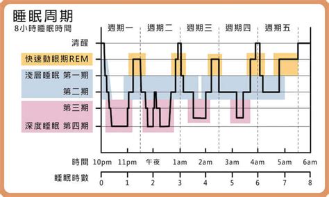 人一天睡眠時間|睡眠時間多長才夠？各年齡層「最佳睡眠時間」大公開。